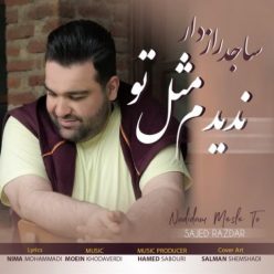 دانلود آهنگ ساجد رازدار ندیدم مثل تو با کیفیت 320